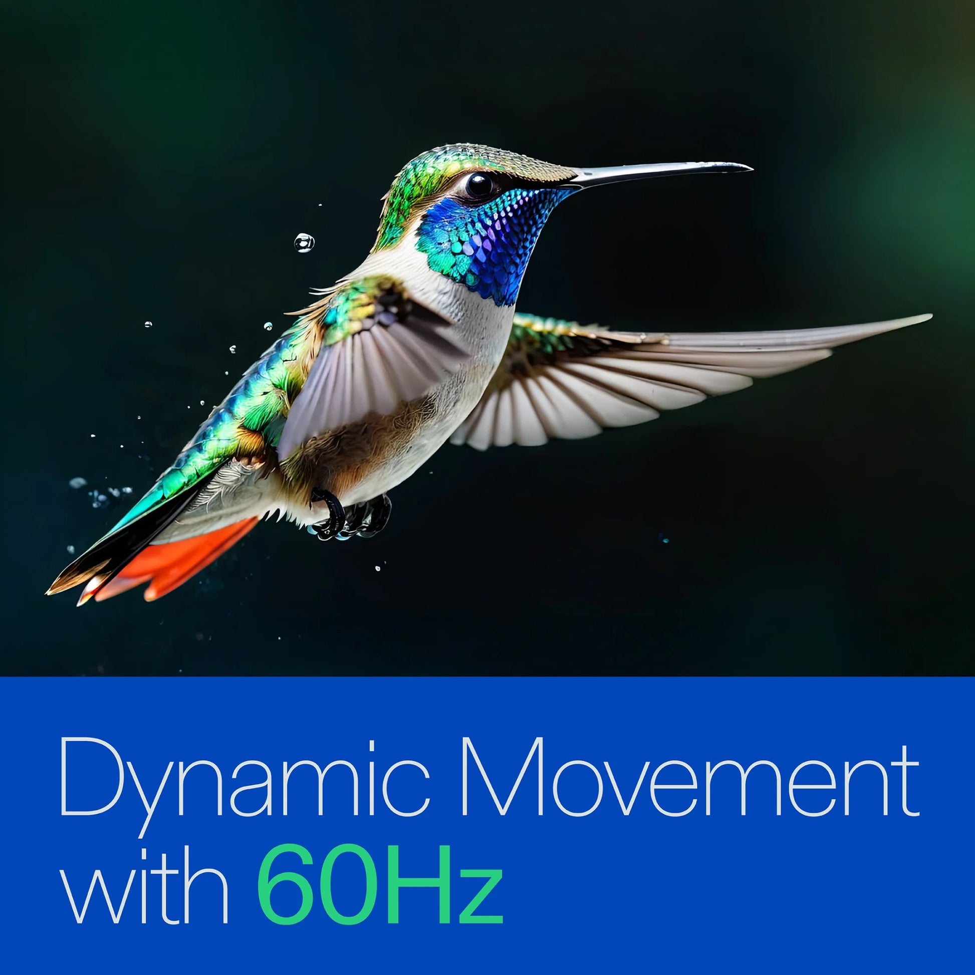 75” Class 4K UHD Roku Smart Television, 100044717